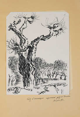 Плавинский Дмитрий Петрович. Дерево у воды